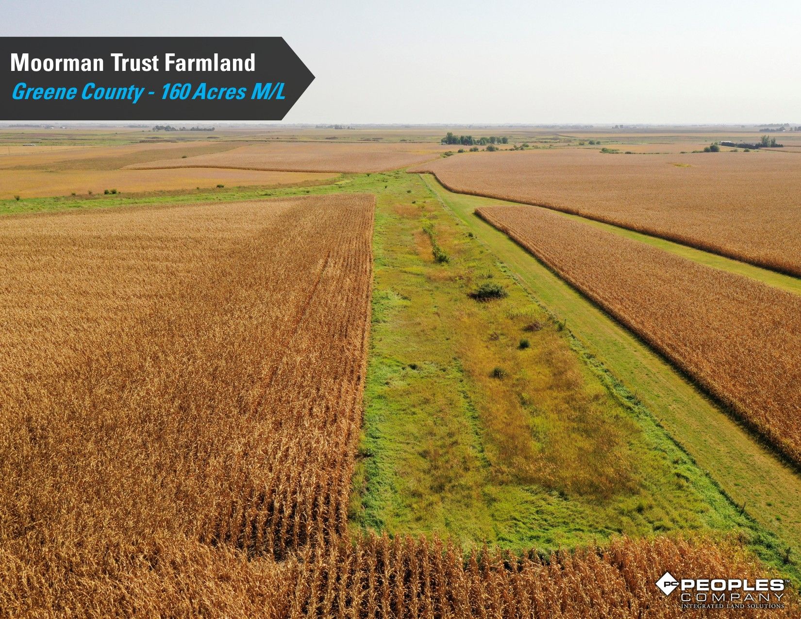 Listing Photo: Greene-County-Iowa-Farmland-Auction-160-Acres-Moorman-Rippey-IA-18618 (23)